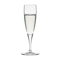 Cava Champagneglasset 21 cl.