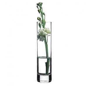 Botanica vase H:20cm